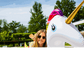 Airbed 150 cm Unicorn