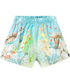 Newton Swim Shorts