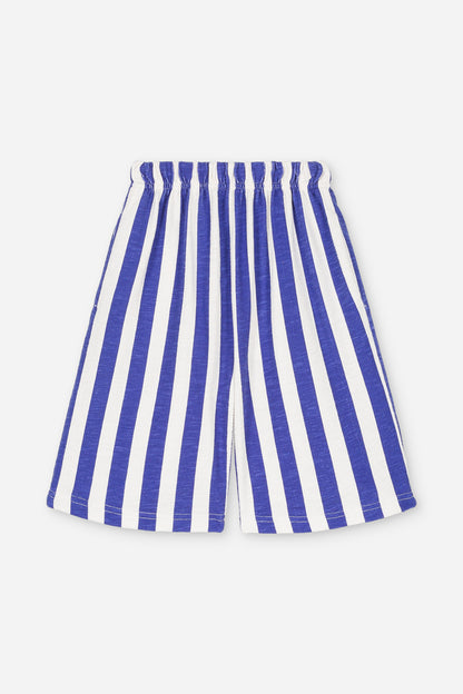 Bermuda Aaron Jersey Mediterranean Stripes
