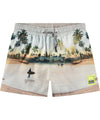 Niko Swim Shorts